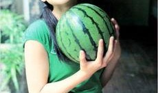 吃瓜真幸福,见证时代变迁的旁观者