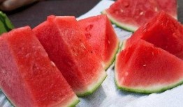 老外吃蒲瓜,老外品尝蒲瓜的独特体验