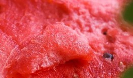 杭麻吃瓜,揭秘网红美食背后的故事