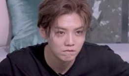 鹿晗 吃瓜,揭秘娱乐圈背后的真相