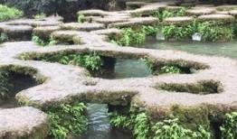 高山流水吃瓜,一场别开生面的吃瓜盛宴