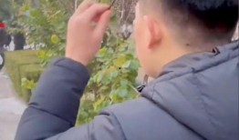 男子带眼镜吃瓜,眼镜男品味瓜果时光