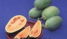 青浦三林塘崩瓜怎么吃,传统美食的独特吃法揭秘