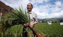 奔跑吧日常吃瓜,揭秘明星们的幕后趣事