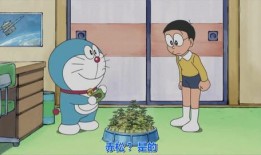 大雄的吃瓜日记下载,揭秘娱乐圈幕后故事