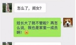 恶搞吃瓜文件,一场网络狂欢背后的真相