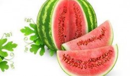 小玖在吃瓜,揭秘娱乐圈那些不为人知的幕后故事